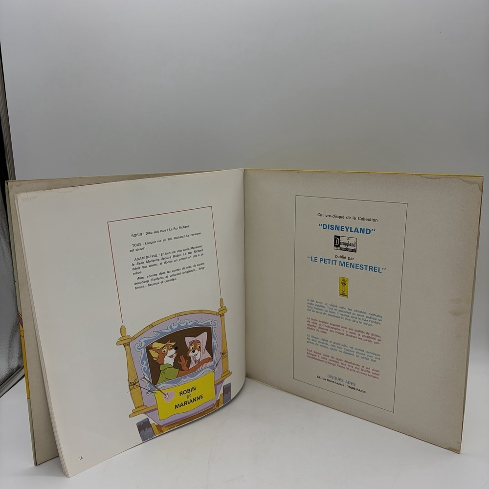 Walt Disney Robin Des Bois LP 1974 French Disneyland Records ST-3810 F VG+ - Picture 16 of 16
